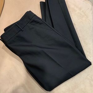 Express Columnist style dress pants